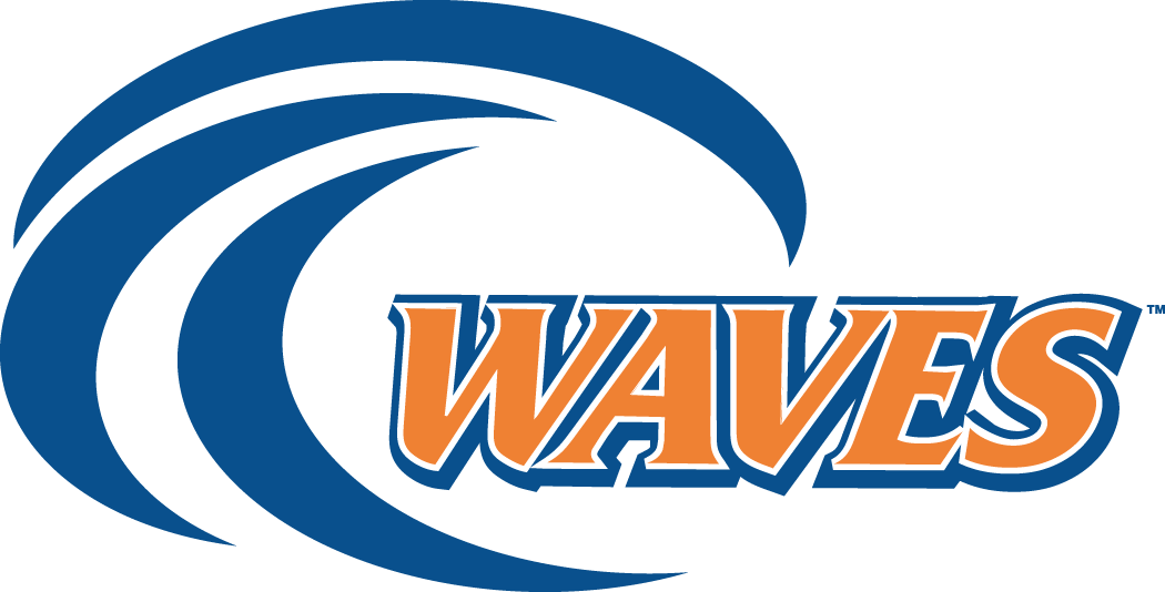 Pepperdine Waves 2004-Pres Alternate Logo v2 iron on transfers for fabric